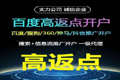 竞价排名广告投放案例